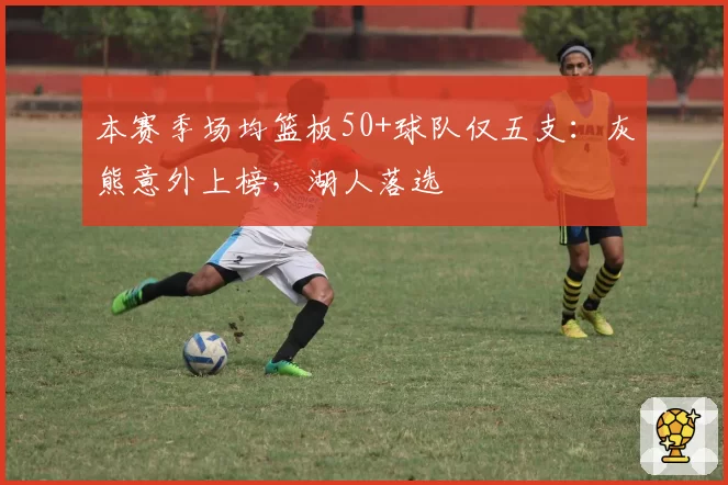 本赛季场均篮板50+球队仅五支:灰熊意外上榜,湖人落选