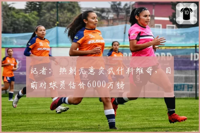 记者：热刺无意卖武什科维奇，目前对球员估价6000万镑