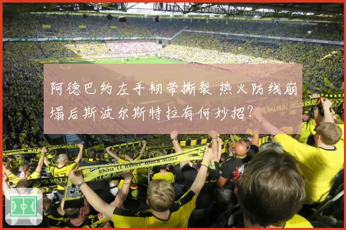 阿德巴约左手韧带撕裂 热火防线崩塌后斯波尔斯特拉有何妙招？