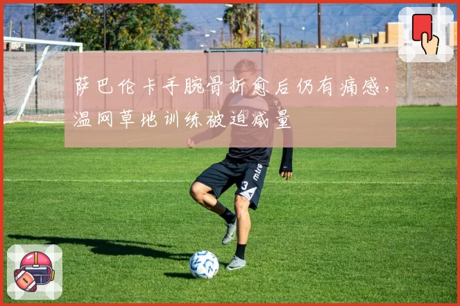 萨巴伦卡手腕骨折愈后仍有痛感，温网草地训练被迫减量