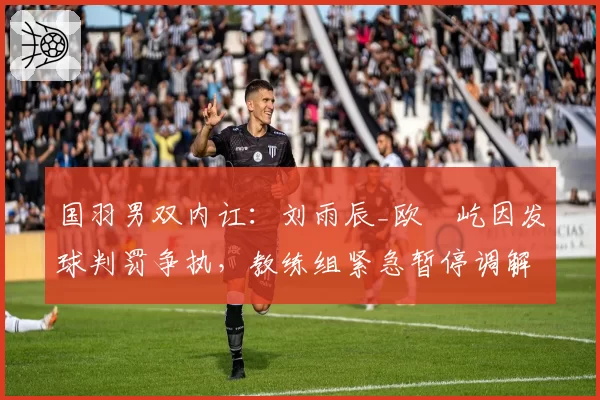 国羽男双内讧:刘雨辰_欧烜屹因发球判罚争执,教练组紧急暂停调解